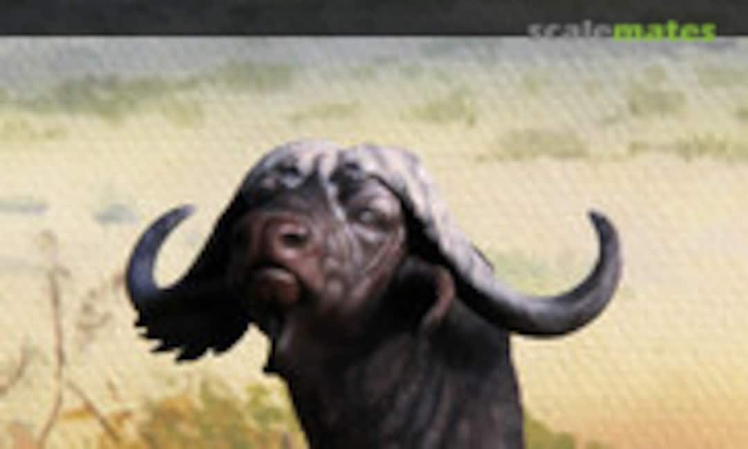 100mm Caffer buffalo bust (Bouts de brousse )