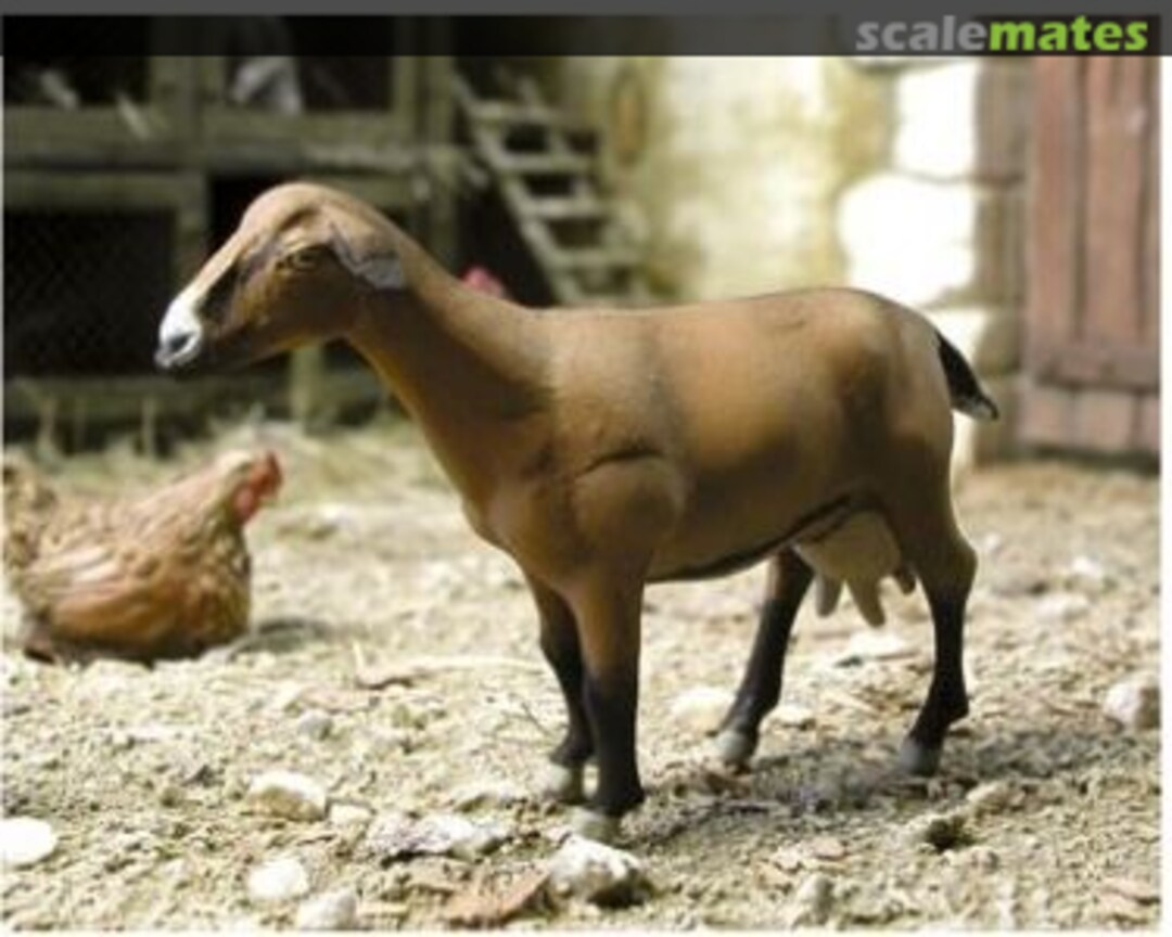 Boxart The Goat ~Bicket~ F175 MK35 Boxart The Goat ~Bicket~ F175 MK35