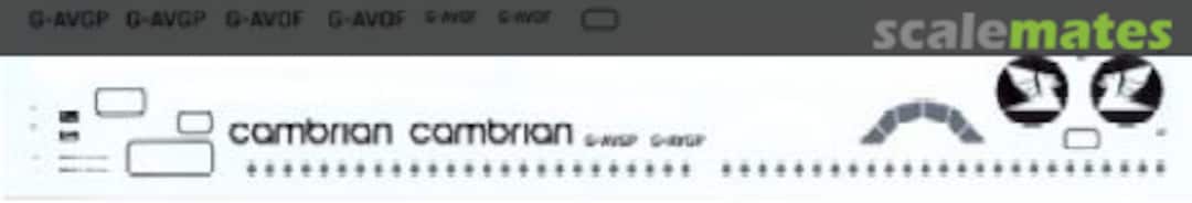 Boxart BAC 1-11 Series 408EF, 416EK FP44-341 Flightpath Decals