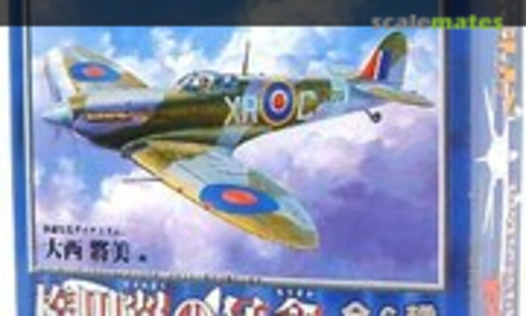 1:100 Spitfire Mk. Vb (Doyusha 401576)