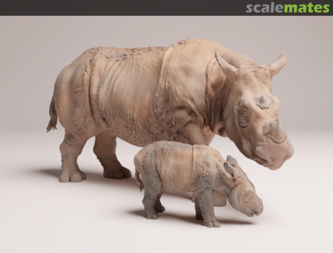 Boxart Sumatran Rhino - Female with calf 35130724 EMP3d Boxart Sumatran Rhino - Female with calf 35130724 EMP3d