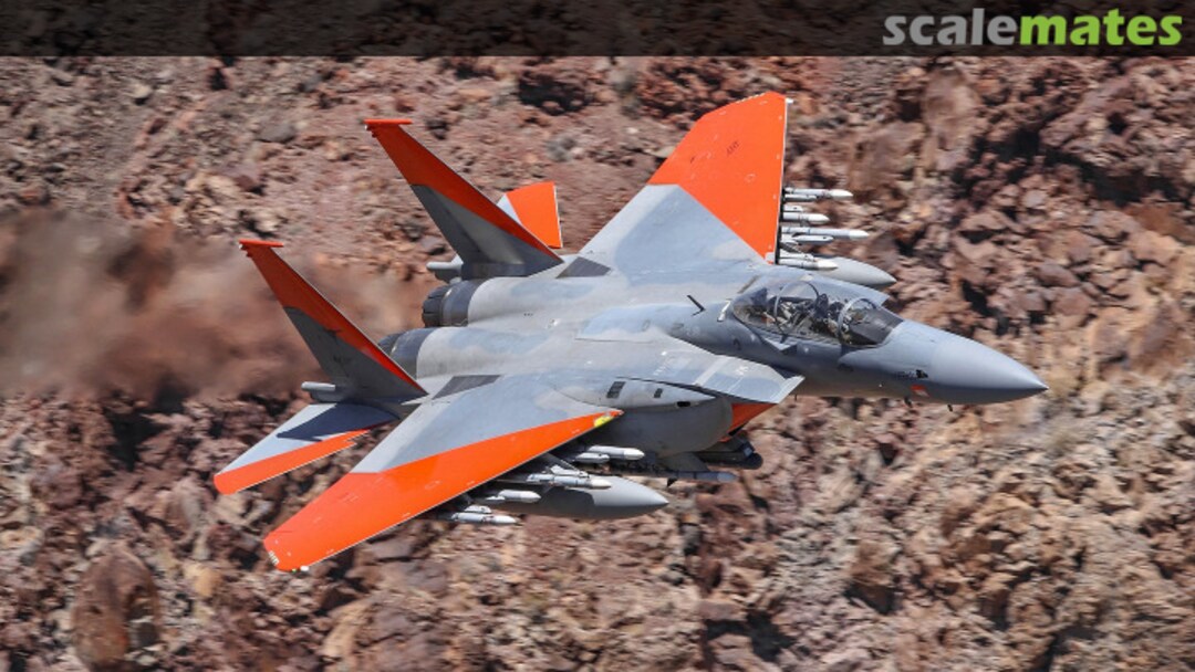 Boxart F-15 “The next Generation” for Revell-Monogram - SA Premium BAM48022SA+ BAM Models Boxart F-15 “The next Generation” for Revell-Monogram - SA Premium BAM48022SA+ BAM Models