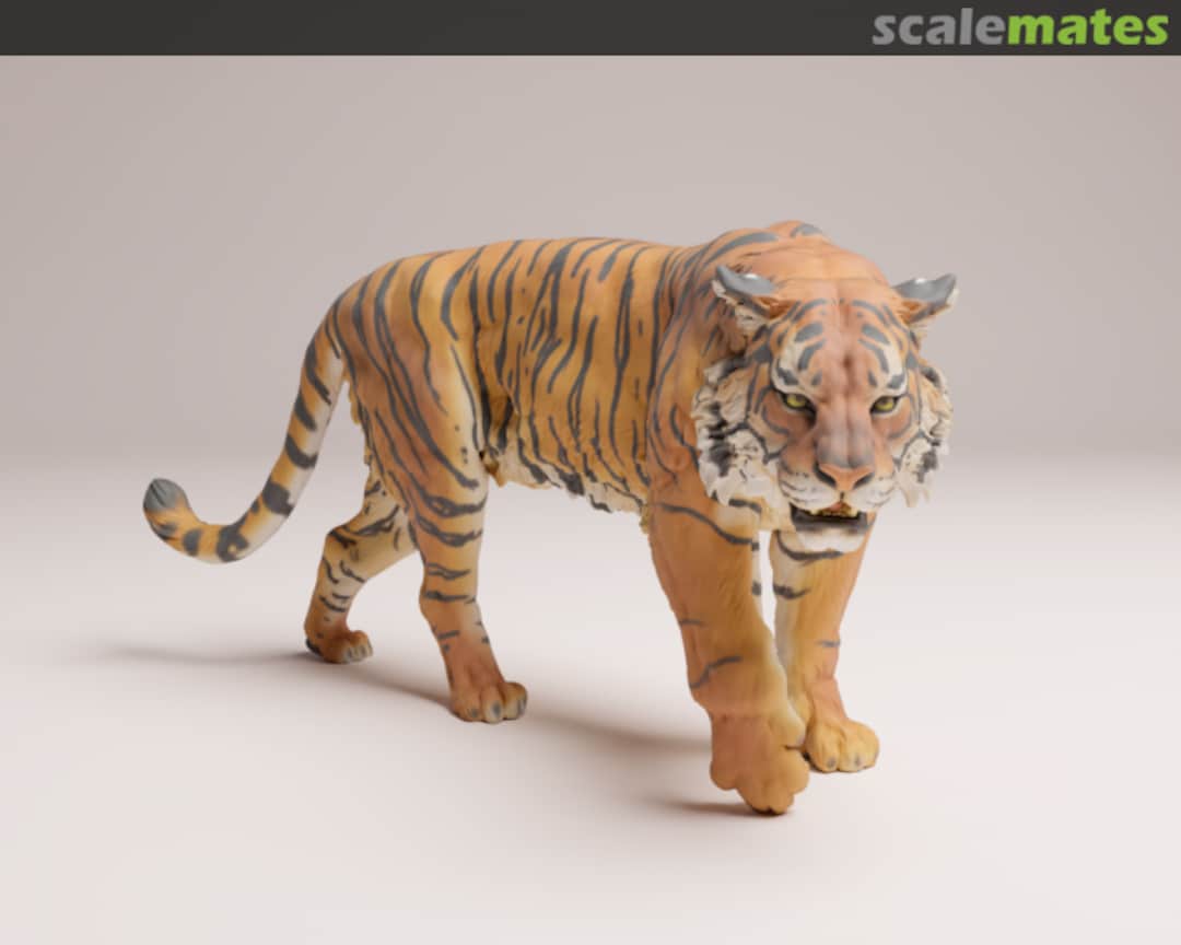 Boxart Sumatran Tiger - Male Walking 35130726 EMP3d Boxart Sumatran Tiger - Male Walking 35130726 EMP3d