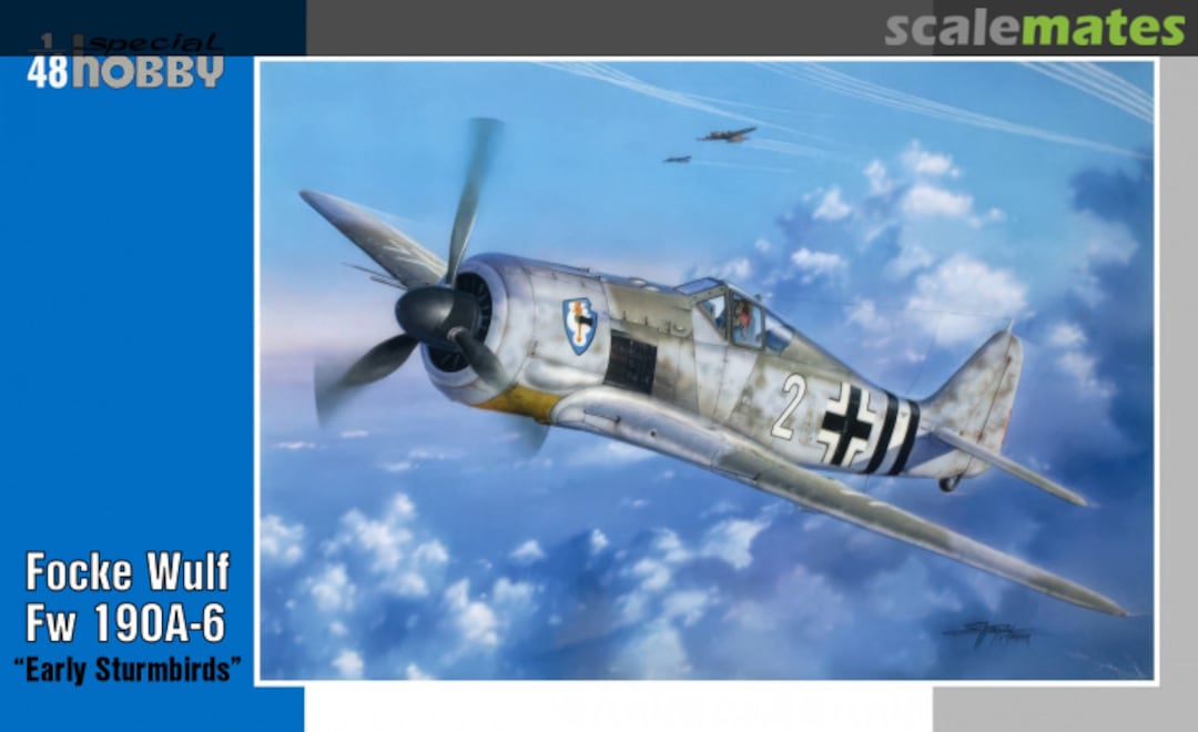 Boxart Focke-Wulf Fw 190A-6 SH48103 Special Hobby Boxart Focke-Wulf Fw 190A-6 SH48103 Special Hobby
