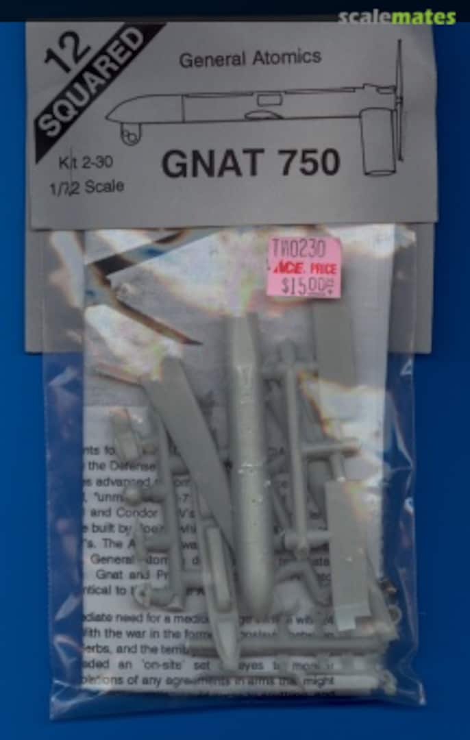 Boxart General Atomics GNAT 750 2-30 12 Squared Boxart General Atomics GNAT 750 2-30 12 Squared