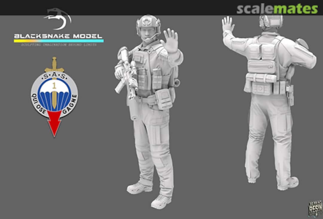 Boxart 1ER RPIMA FRENCH SAS 06 SAS_06 BlackSnake Model Boxart 1ER RPIMA FRENCH SAS 06 SAS_06 BlackSnake Model