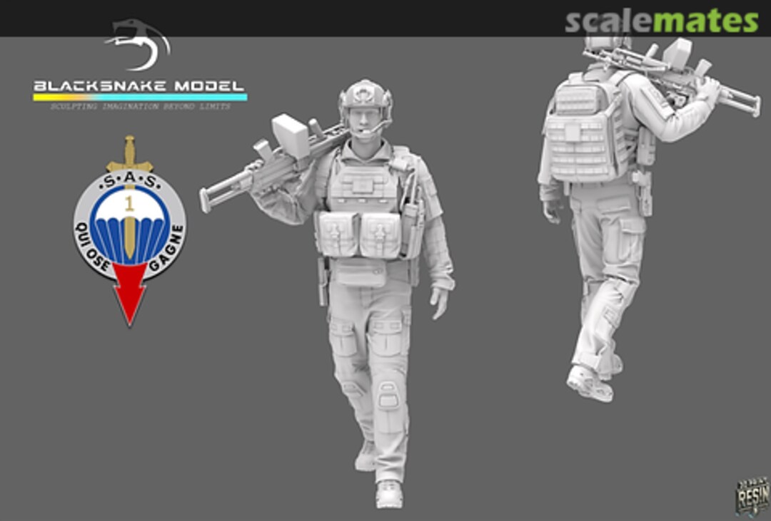 Boxart 1ER RPIMA FRENCH SAS 07 SAS_07 BlackSnake Model Boxart 1ER RPIMA FRENCH SAS 07 SAS_07 BlackSnake Model