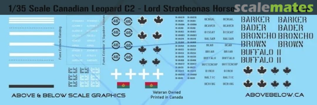 Boxart Canadian Leopard C2 2016 Above & Below Graphics Boxart Canadian Leopard C2 2016 Above & Below Graphics