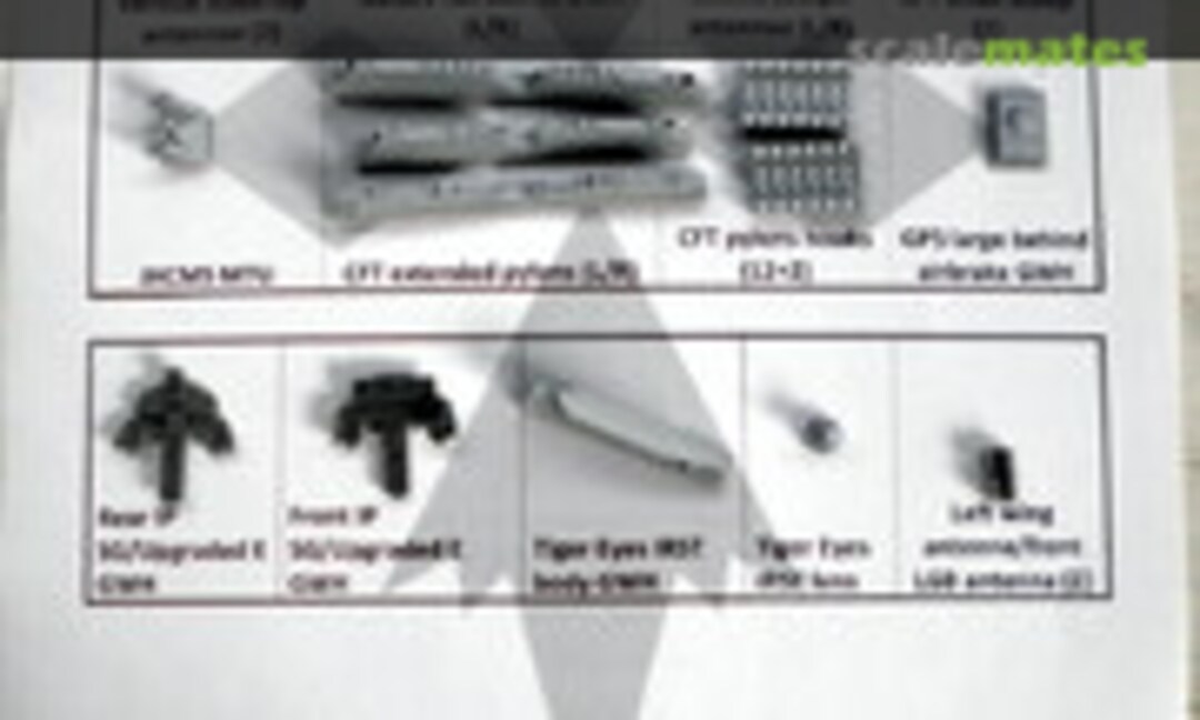 1:48 F-15 “The next Generation” for GWH - SG (BAM Models BAM48021SG) BAM48021SG