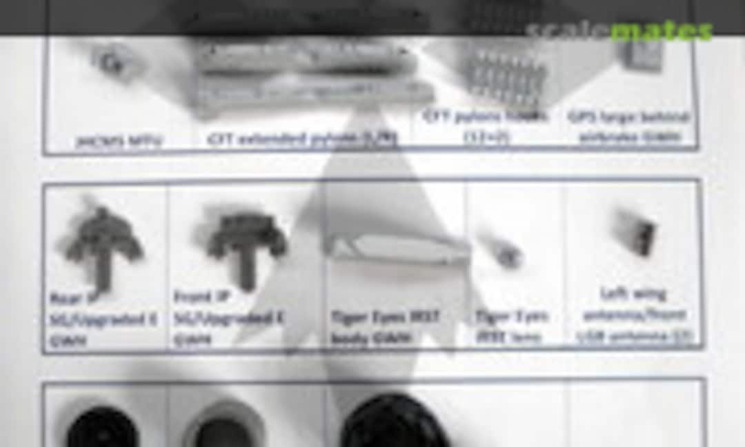 1:48 F-15 “The next Generation” for GWH - SG Premium (BAM Models BAM48021SG+) BAM48021SG+