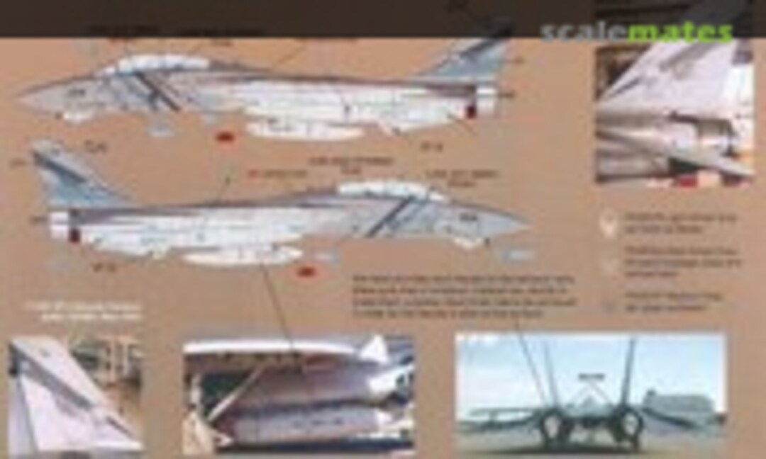 1:32 F-14D Tomcat (Zotz Decals ZTZ32/025) ZTZ32/025