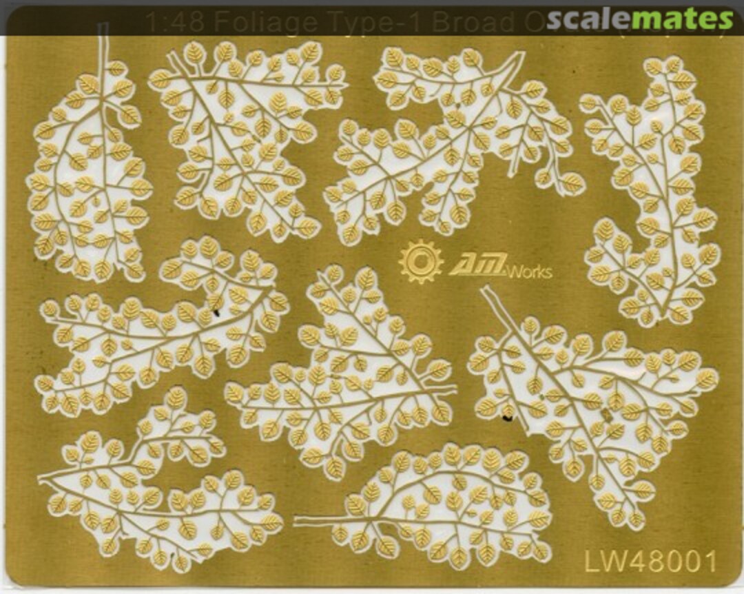 Contents Foliage Type-1 Broad Ovate (Aspen) LW48001 Alliance Model Works Contents Foliage Type-1 Broad Ovate (Aspen) LW48001 Alliance Model Works