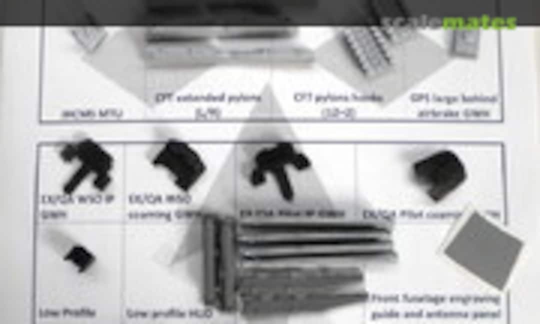 1:48 F-15 “The next Generation” for GWH - EX/QA Premium (BAM Models BAM48021EX+) BAM48021EX+