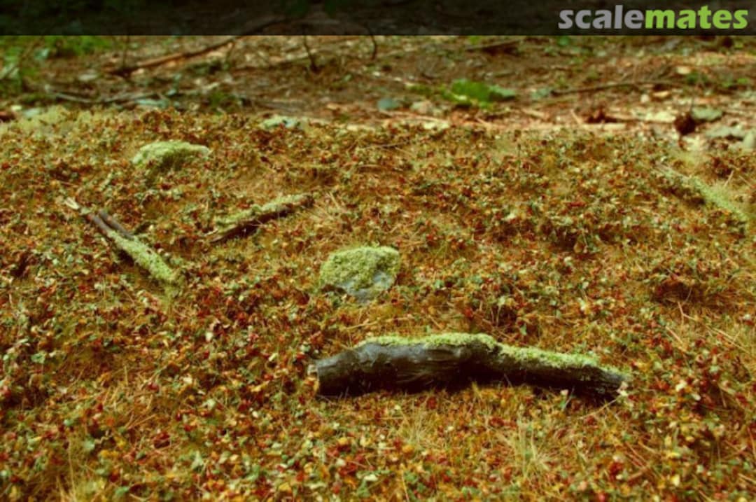 Boxart Forest base - late summer MINIPACK F603-S Model Scene