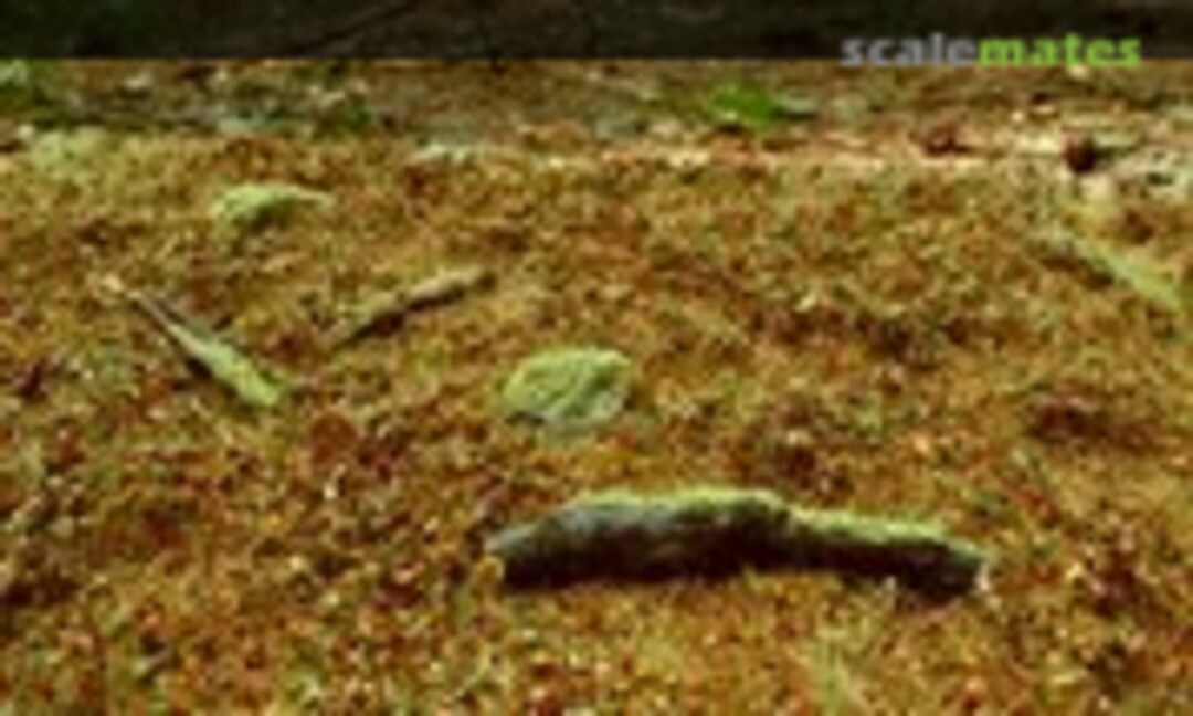 No Forest base - late summer MINIPACK (Model Scene F603-S)