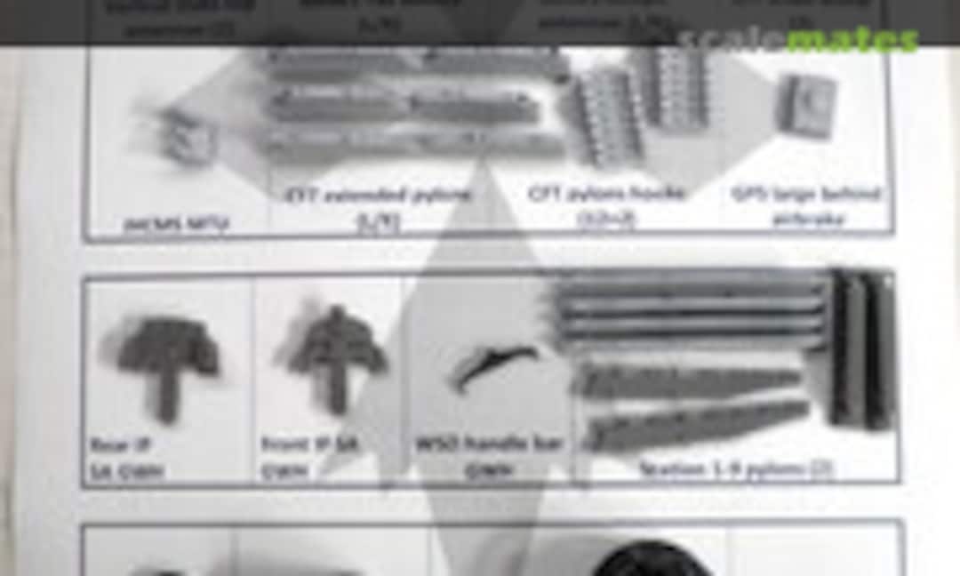 1:48 F-15 “The next Generation” for GWH - SA Premium (BAM Models BAM48021SA+) BAM48021SA+