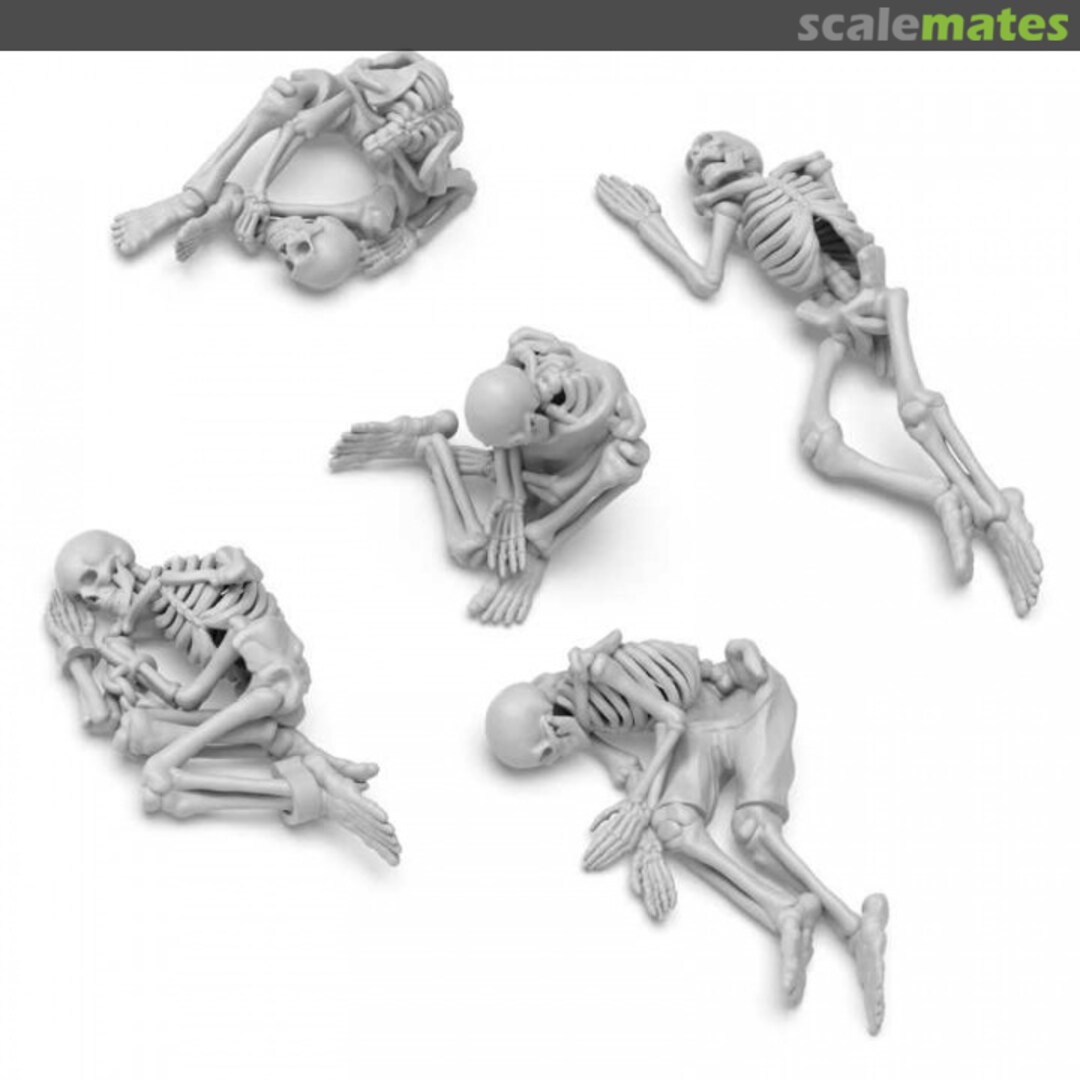 Boxart Dead skeletons 8435646522425ES Green Stuff World Boxart Dead skeletons 8435646522425ES Green Stuff World