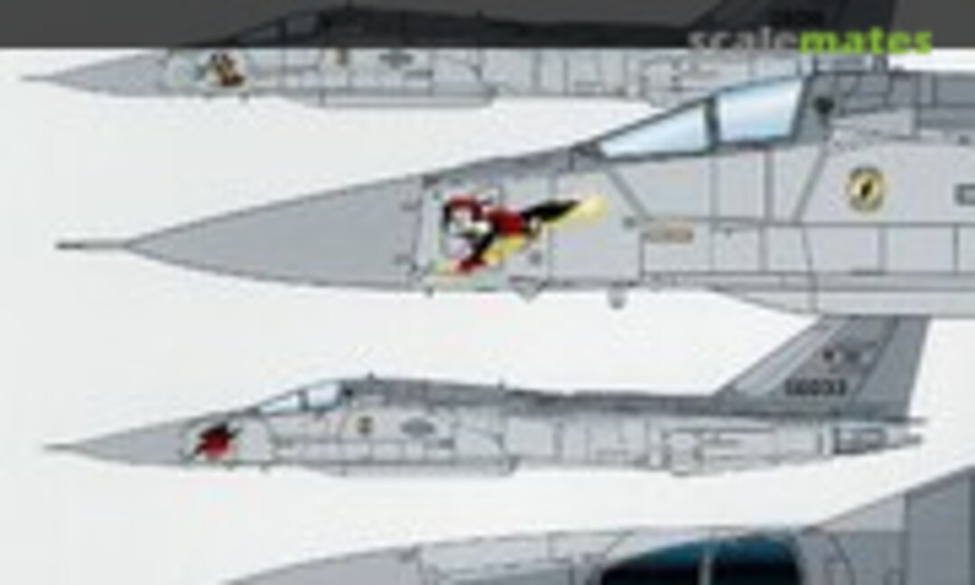 1:72 EF-111A Nose Art Special (Cutting Edge Modelworks CED72048) CED72048