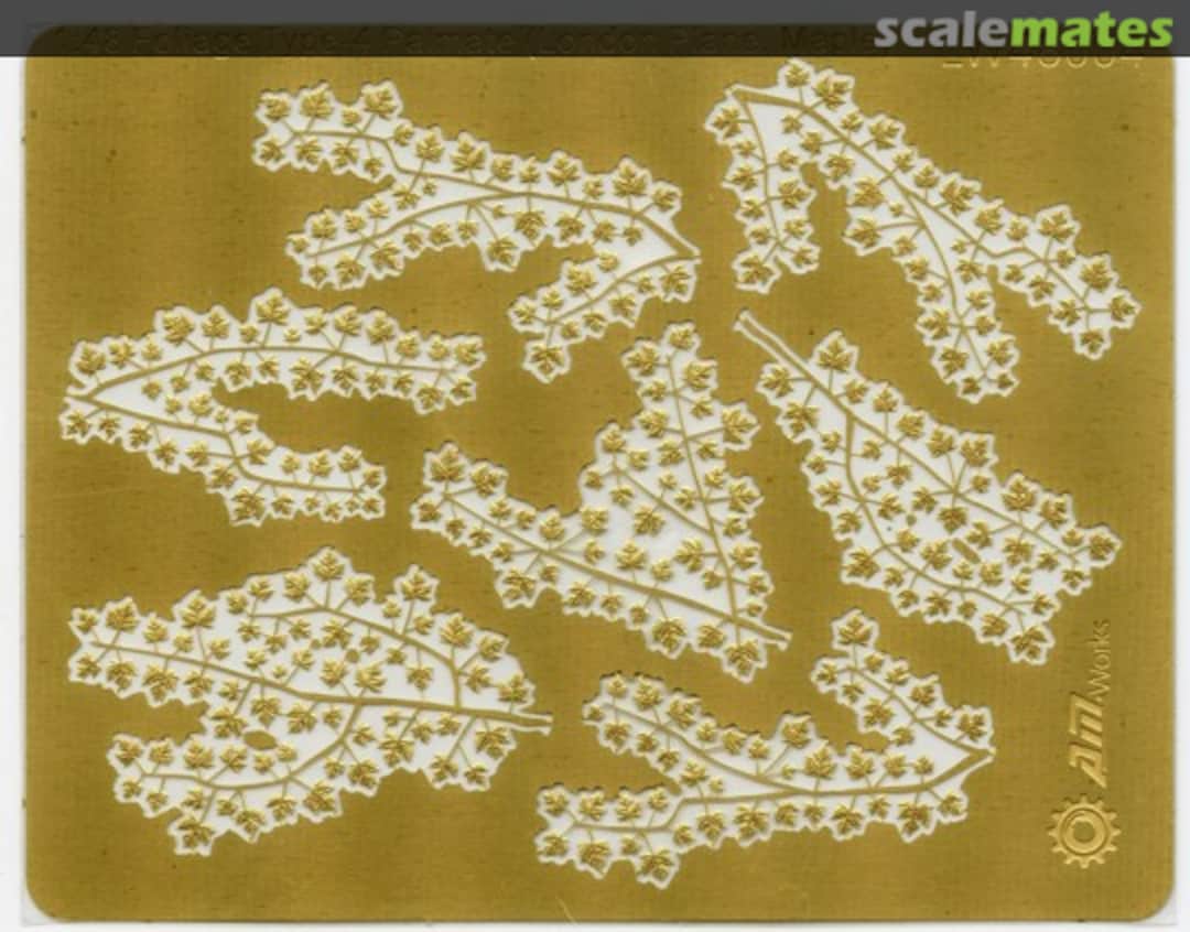 Contents Foliage Type-4 Palmate (London plane,Maple) LW48004 Alliance Model Works Contents Foliage Type-4 Palmate (London plane,Maple) LW48004 Alliance Model Works