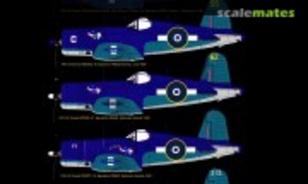 1:32 RNZAF (HGW Models 232911) 232911