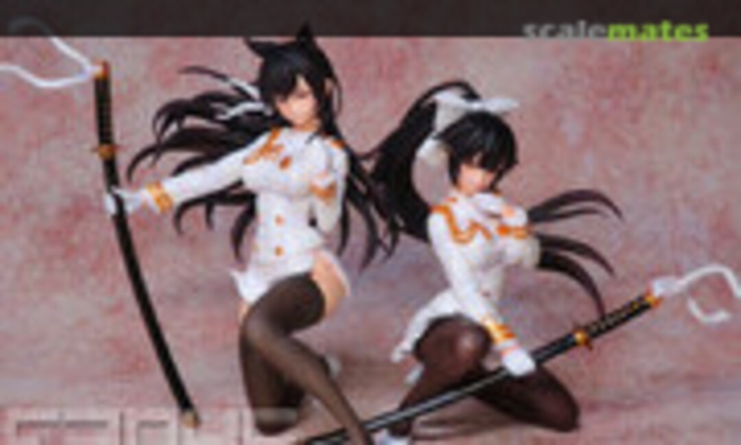 1:7 Atago and Takao (E2046 FG11042)