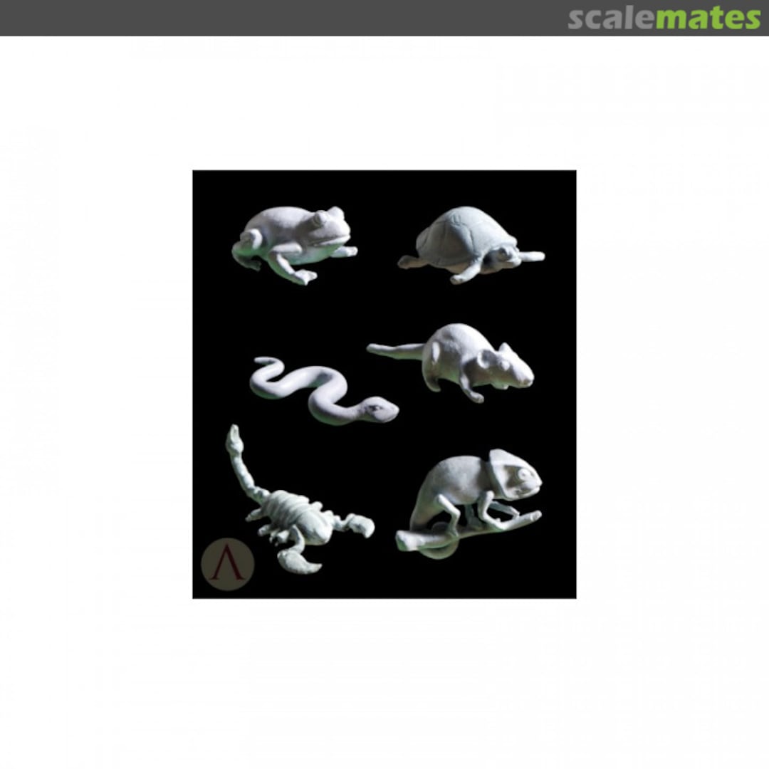 Boxart Bug Set SCC-002 SCALE75 Boxart Bug Set SCC-002 SCALE75