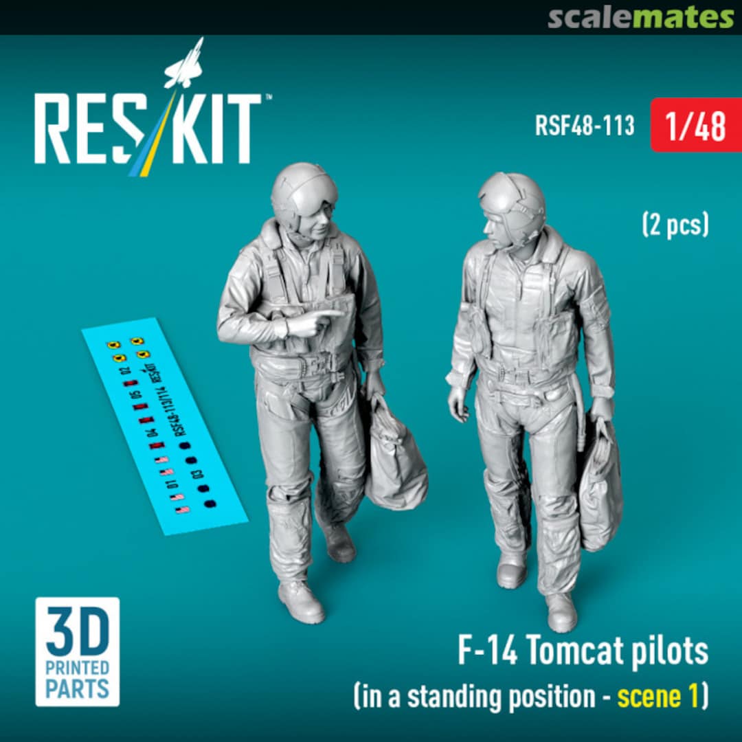 Boxart F-14 Tomcat pilots (in a standing position - scene 1) (2 pcs) (3D Printed) RSF48-0113 ResKit