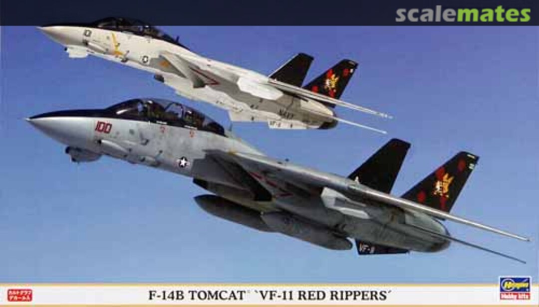 Boxart F-14B Tomcat `VF-11 Red Rippers´ 00808 Hasegawa