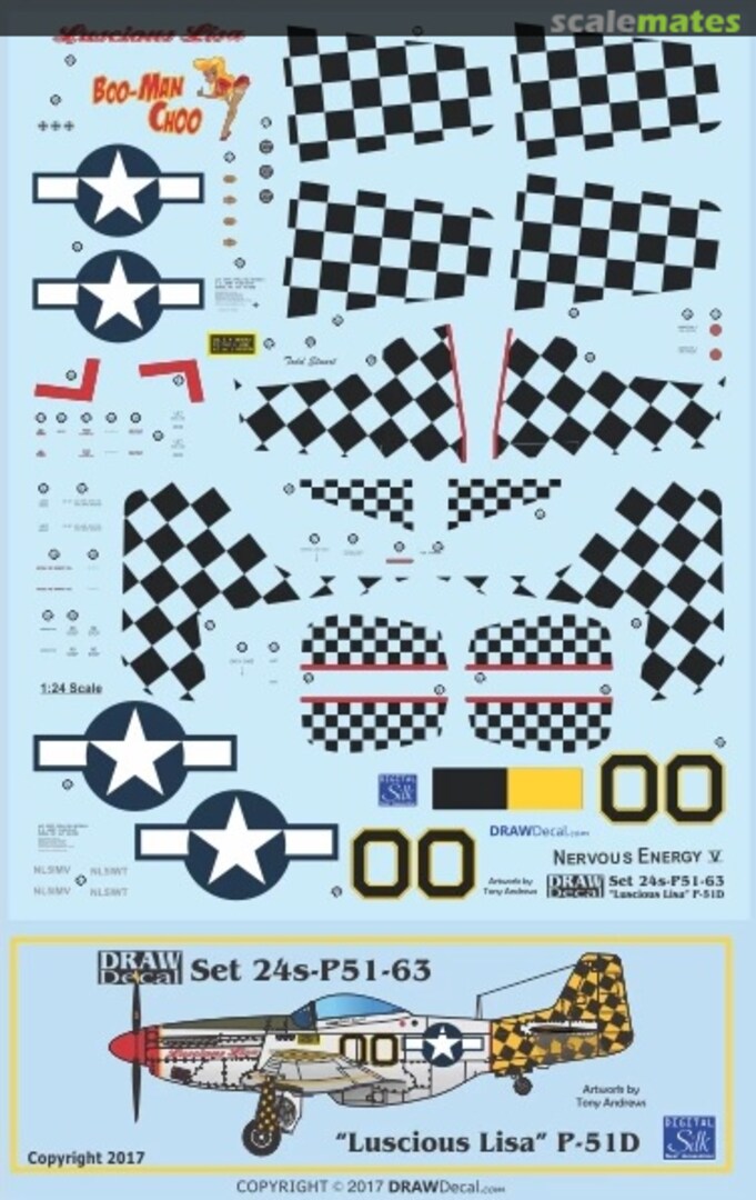 Boxart P-51D “Luscious Lisa” 24-P51-63 Draw Decal Boxart P-51D “Luscious Lisa” 24-P51-63 Draw Decal