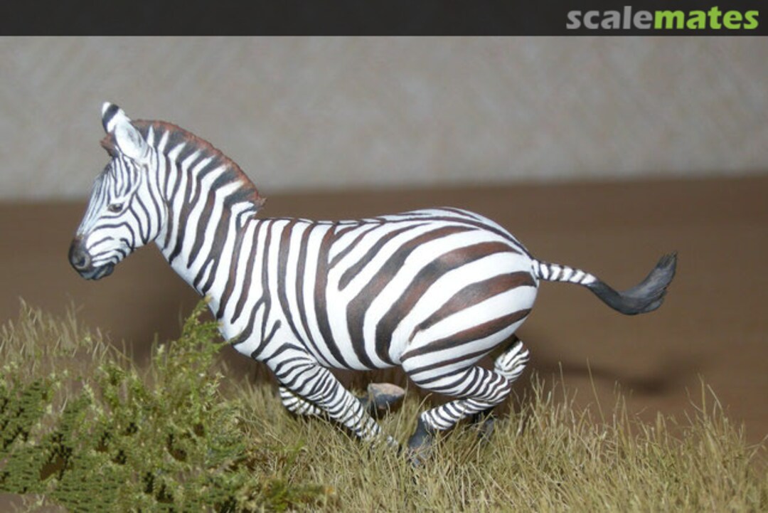 Boxart The hunt : Zebra Bouts de brousse Boxart The hunt : Zebra Bouts de brousse