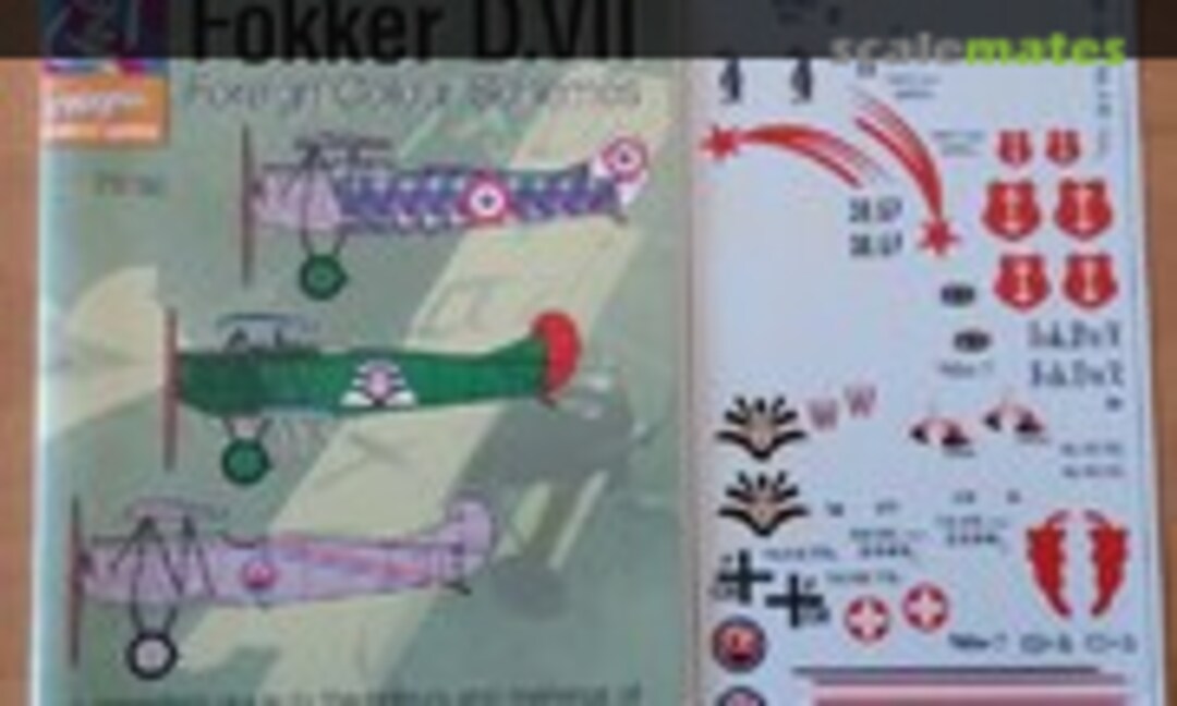 1:48 Fokker DVII (Blue Rider 48002) 48002