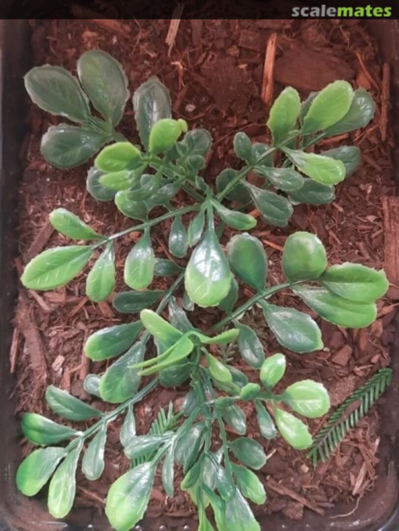 Boxart Large Jungle Plant 2 PP027 Reality in Scale Boxart Large Jungle Plant 2 PP027 Reality in Scale