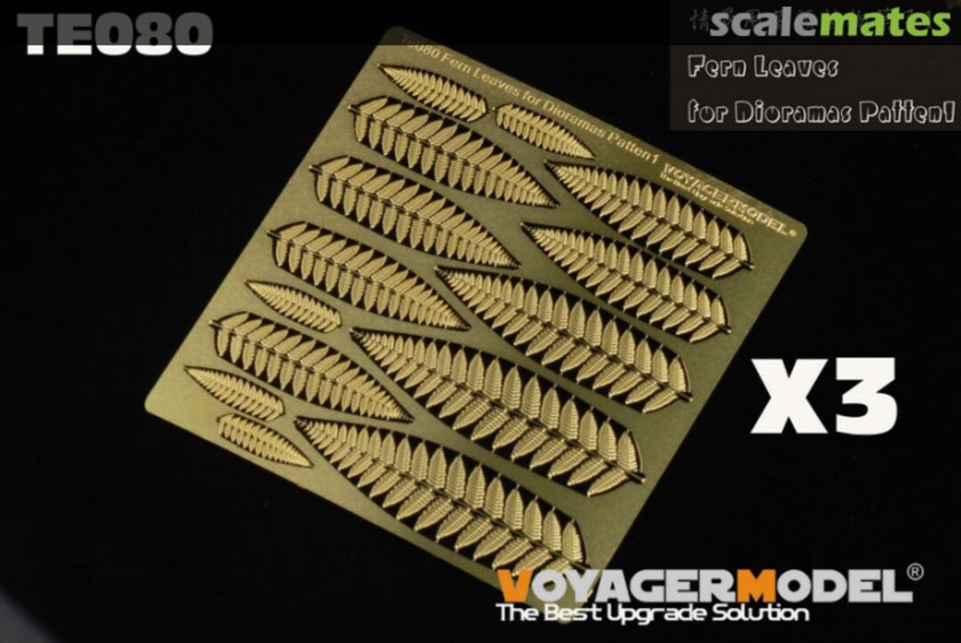 Boxart Fern Leaves for Dioramas Patten1 TE080 Voyager Model Boxart Fern Leaves for Dioramas Patten1 TE080 Voyager Model