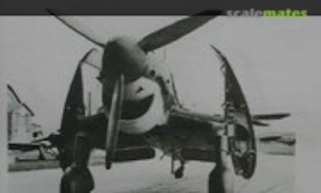 1:144 Junkers Ju-87C (RetroWings RW44111) RW44111