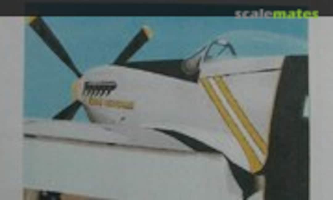 1:144 P-51 Flat Tip Hamilton Standard Propeller Blades (RetroWings RW44128) RW44128