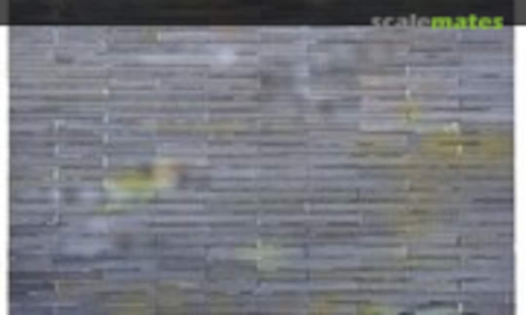 1:72 PSP Display Colour (Eduard 7720)