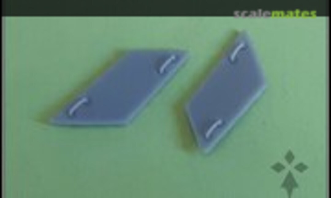 1:48 F-22 Intake Covers (BAM Models BAM48035) BAM48035