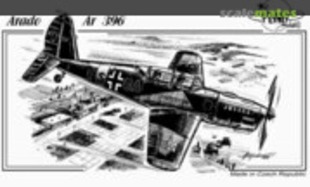 1:48 Arado Ar 396 (Planet Models PLT057)