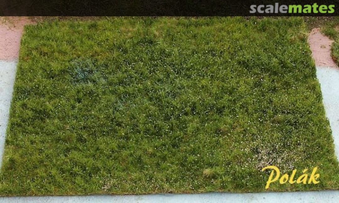 Boxart Wild meadow - Variant D 4704 Polak model Boxart Wild meadow - Variant D 4704 Polak model