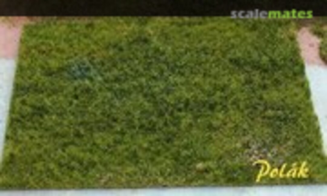 No Wild meadow - Variant D (Polak model 4704) 4704