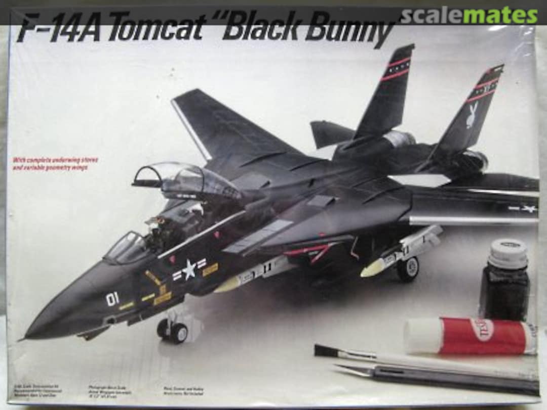 Boxart F-14A Tomcat 328 Testors Boxart F-14A Tomcat 328 Testors
