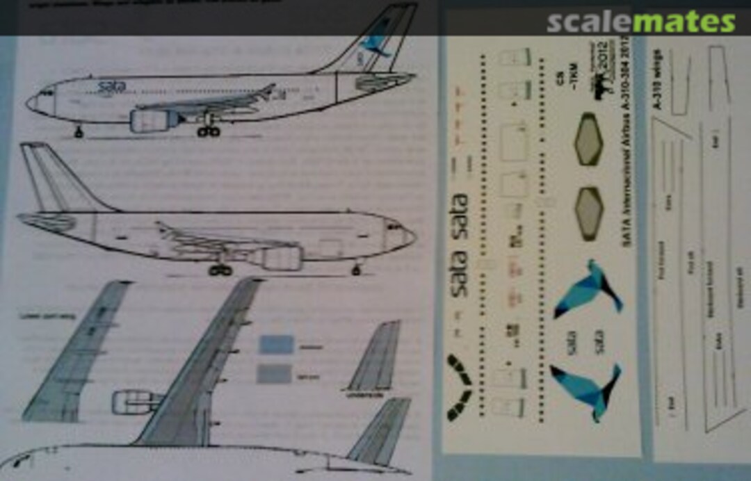 Boxart Airbus A310-304 Sata Airlines A310-304 Pointerdog Decals Boxart Airbus A310-304 Sata Airlines A310-304 Pointerdog Decals