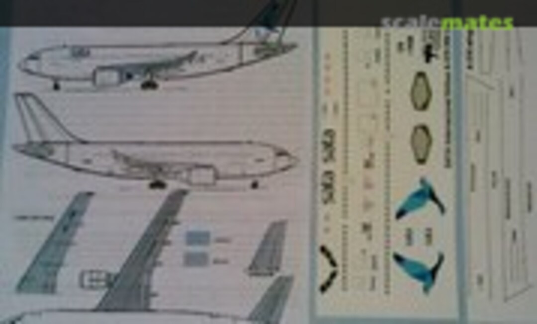 1:144 Airbus A310-304 Sata Airlines (Pointerdog Decals A310-304) A310-304