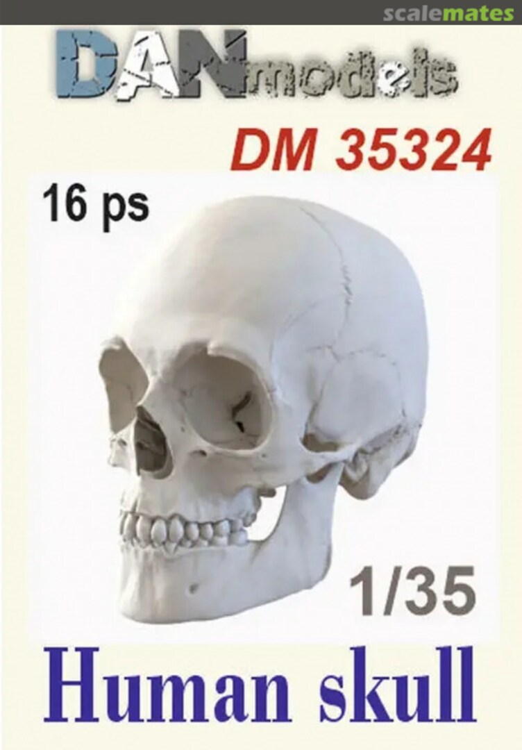 Boxart Human Skull (16 pcs) DM35324 DANmodels Boxart Human Skull (16 pcs) DM35324 DANmodels