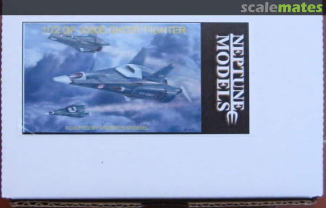 Boxart QF-3000E Ghost Fighter  Neptune Models