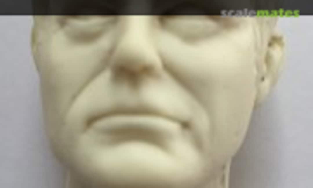 1:6 Dr. Leonard McCoy Replacement Head (Garage Kit )