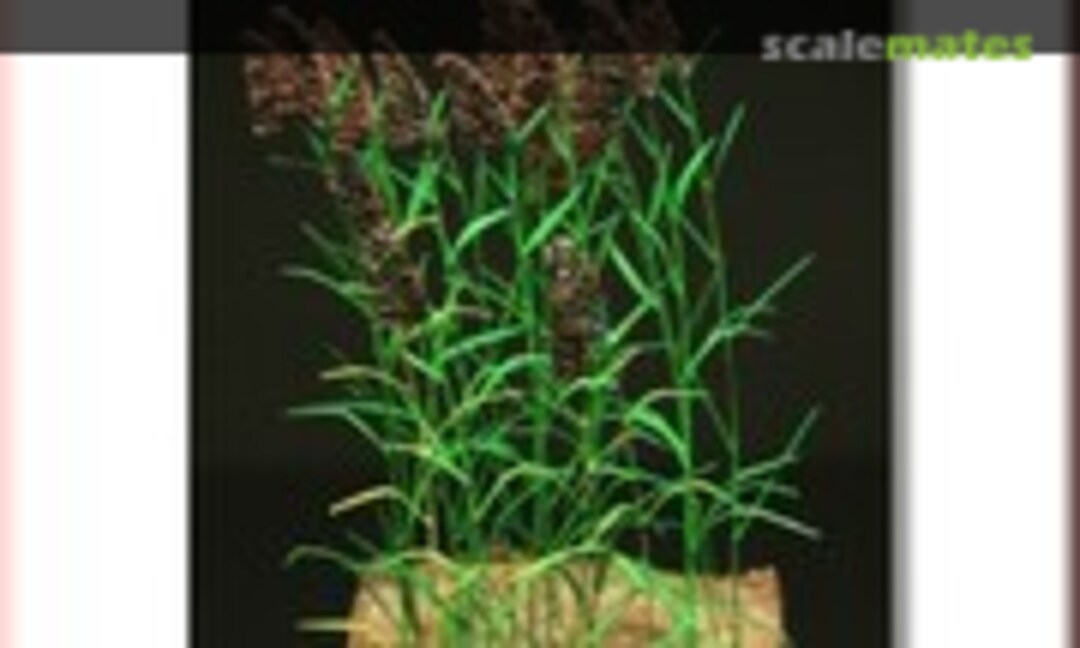 1:35 Reed Plants <Green> (Fredericus-Rex GL-113-GN) GL-113-GN