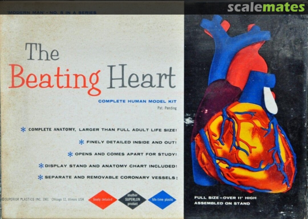 Boxart The Beating Heart 6 Superior Plastics Inc. Boxart The Beating Heart 6 Superior Plastics Inc.