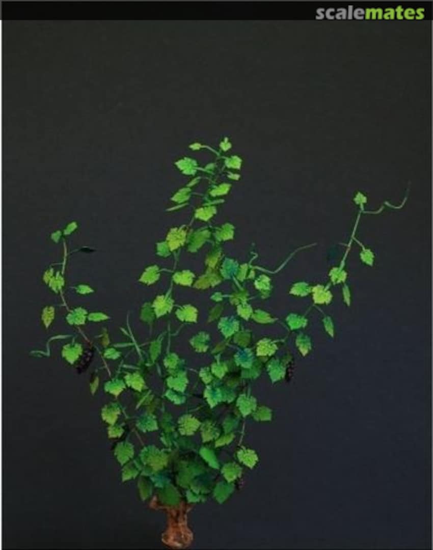 Boxart Grape Vine <Green> GL-100-GN Fredericus-Rex Boxart Grape Vine <Green> GL-100-GN Fredericus-Rex