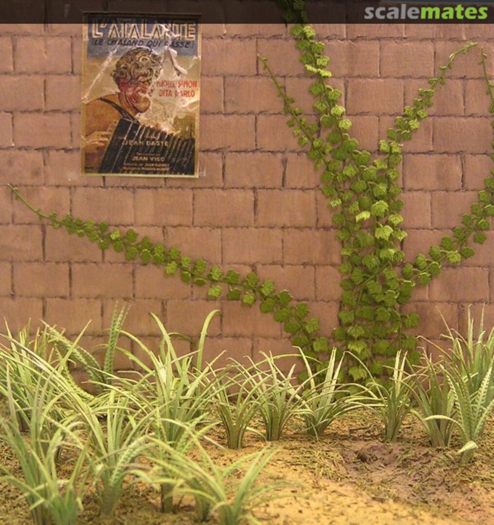 Boxart Weeds & Ivy A-10 Kamizukuri Boxart Weeds & Ivy A-10 Kamizukuri